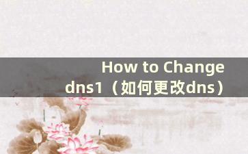 How to Change dns1（如何更改dns）